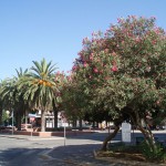 Pontinia (LT), p.zza Pio VI