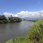 Pontinia (LT), scorcio di un'ansa del fiume Ufente