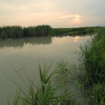 Pontinia (LT), paesaggio della campagna
