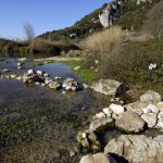 Pontinia (LT), Fontana di muro [Foto Mimmo Frassineti]