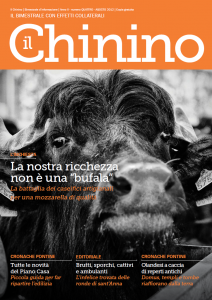 copertina chinino nr. 04