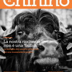 Il Chinino Agosto Settembre 2012